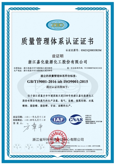 ISO9001(Chinese)