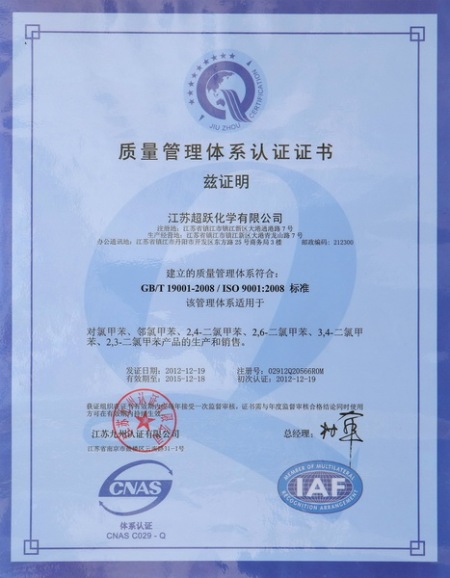 ISO9001(Chinese)