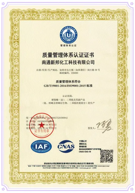 ISO9001(Chinese)