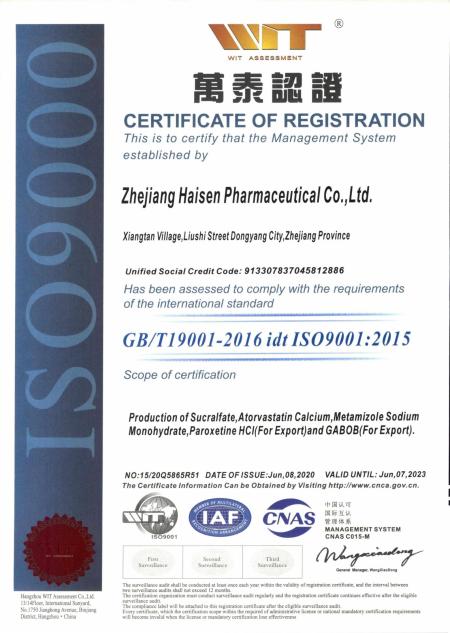 ISO9001(English)