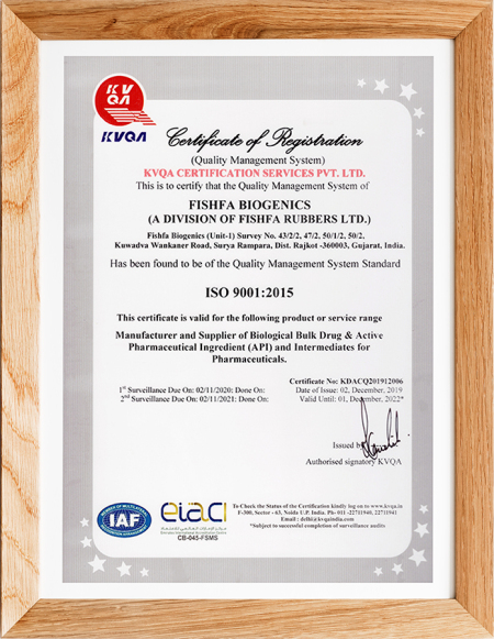 ISO9001(English)