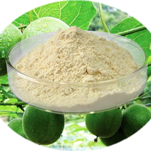 Monk Fruit Extract