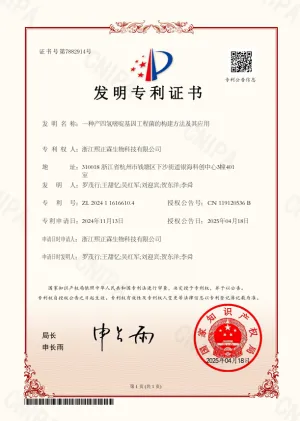patent