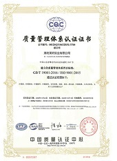 ISO9001(Chinese)