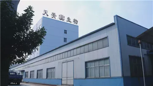 Factory Gate