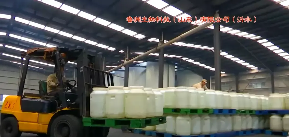 Warehouse
