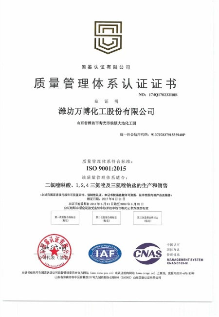 ISO9001(Chinese)