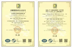 ISO9001(Chinese)