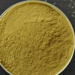 Solvent Yellow BL