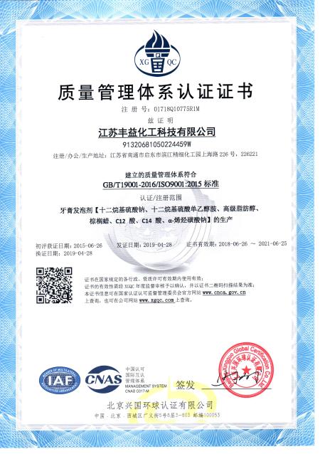 ISO9001(Chinese)