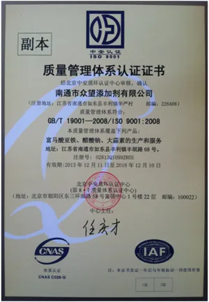 ISO9001(Chinese)