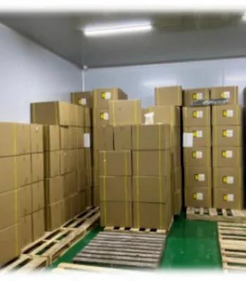 Vitamin C Ascorbyl Palmitate / Palmitato de Ascorbila