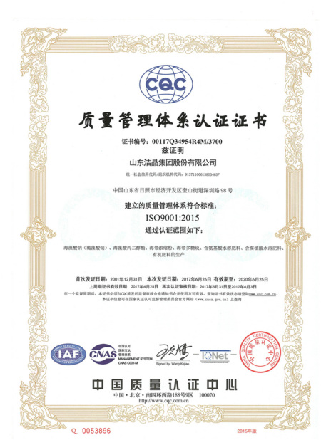 ISO9001(Chinese)