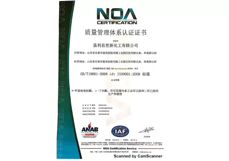 ISO9001(Chinese)