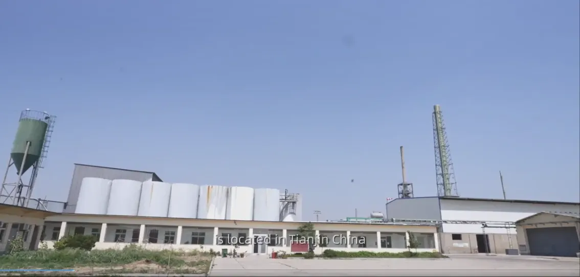 Factory Office