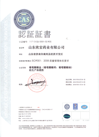 ISO9001(Chinese)